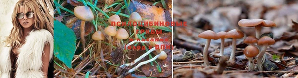 MESCALINE Абинск