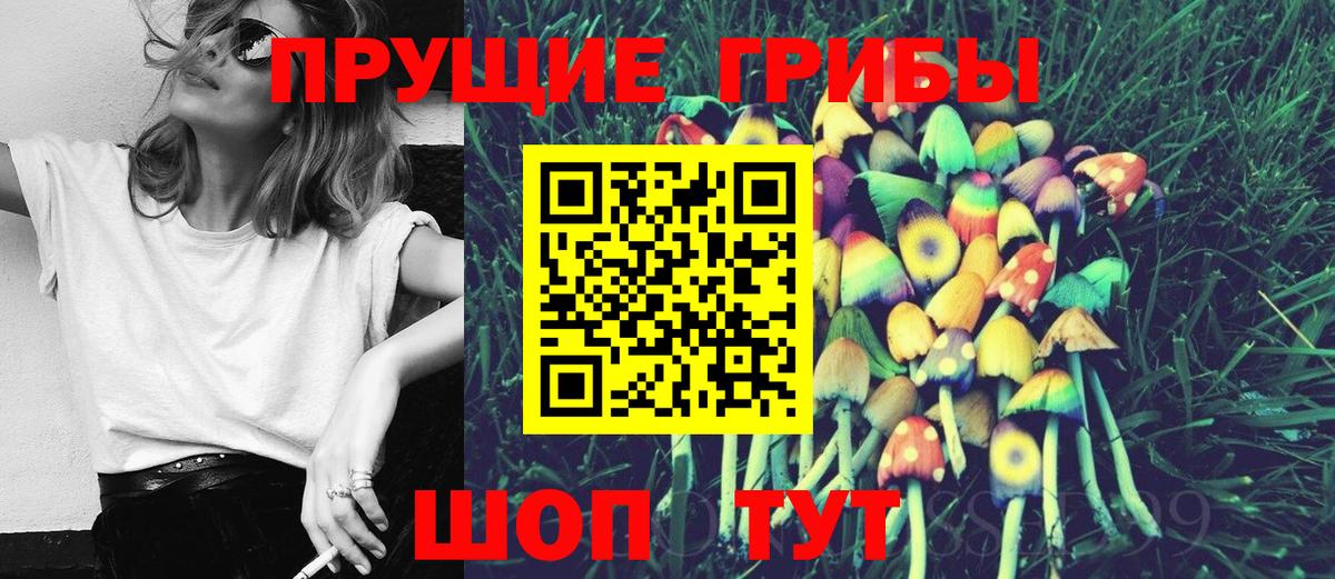 Псилоцибиновые грибы GOLDEN TEACHER Сафоново