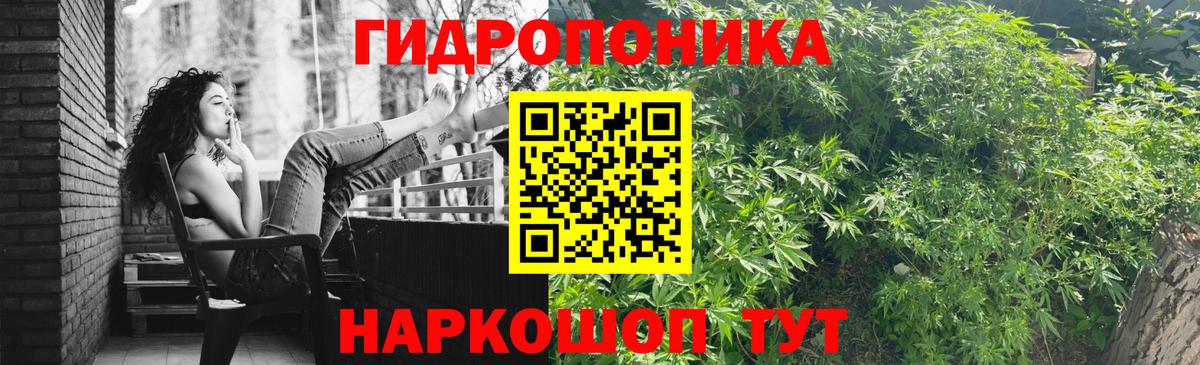 Бошки Шишки OG Kush Сафоново